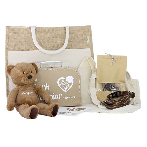 voorbeeld-puppypakket-puppy-pakket-met-tas-beer-koffertje-halsband-riem