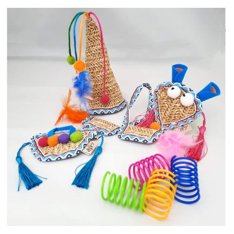 kittenpakket-kitten-pakket-fiesta-kleurrijk-vrolijke-kleuren
