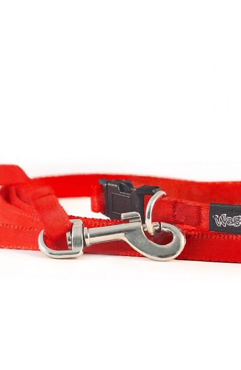 wagging-tailz-tiny-totz-leads-standard-puppylijn-opvolgbandje-puppy-riem-2