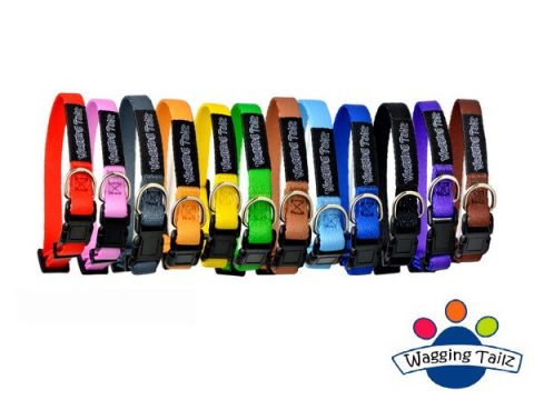 waggingtailz_opvolgbandje_regular-opvolgbandjes-puppybandjes-halsbandje-puppy-id-bandjes1